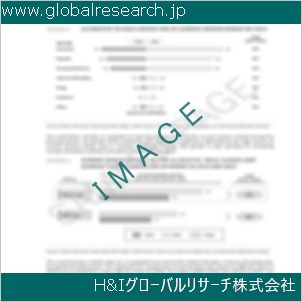 グローバルリサーチ調査資料のイメージ